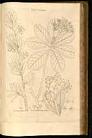  no thumbnail available