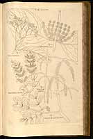  no thumbnail available