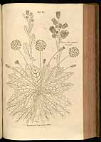  no thumbnail available