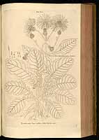  no thumbnail available