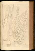  no thumbnail available