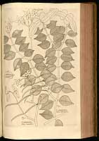  no thumbnail available