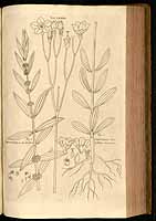  no thumbnail available