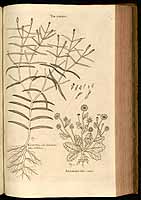  no thumbnail available