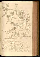  no thumbnail available