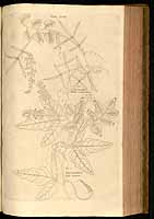  no thumbnail available