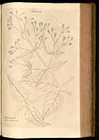  no thumbnail available