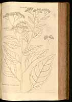  no thumbnail available