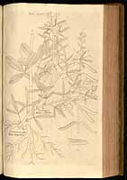  no thumbnail available