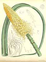  no thumbnail available