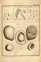  no thumbnail available