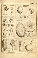  no thumbnail available