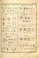  no thumbnail available