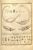  no thumbnail available