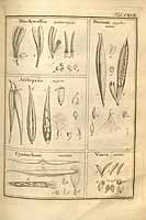  no thumbnail available