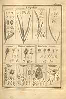  no thumbnail available