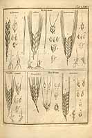  no thumbnail available