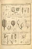  no thumbnail available