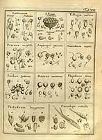  no thumbnail available