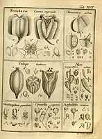  no thumbnail available