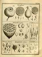  no thumbnail available