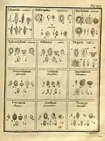  no thumbnail available