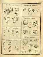  no thumbnail available