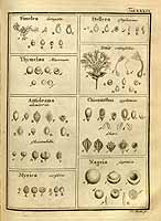  no thumbnail available