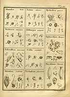  no thumbnail available