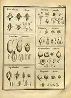  no thumbnail available