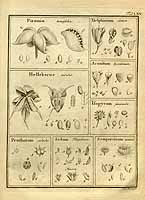  no thumbnail available