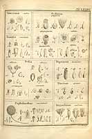  no thumbnail available