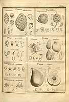  no thumbnail available