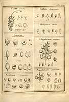  no thumbnail available