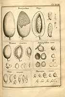  no thumbnail available