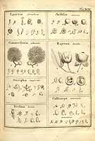  no thumbnail available