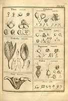  no thumbnail available