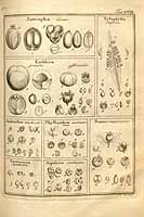  no thumbnail available