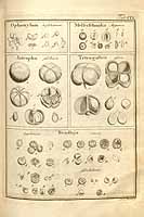  no thumbnail available