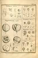  no thumbnail available