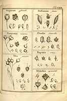  no thumbnail available