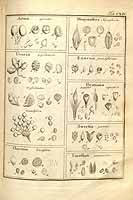  no thumbnail available