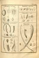  no thumbnail available