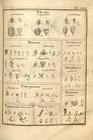  no thumbnail available