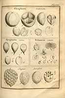  no thumbnail available