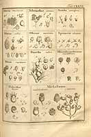  no thumbnail available