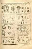  no thumbnail available