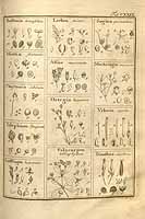  no thumbnail available