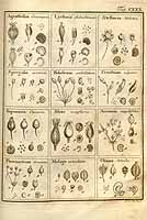  no thumbnail available