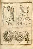  no thumbnail available